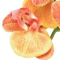Artikel Orchidee künstlich Phalaenopsis geflammt Rot Gelb 78cm
