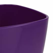 Artikel Orchideentopf Kunststoff glänzend Ø12,5cm Violett