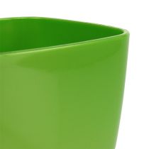 Artikel Orchideentopf glänzend Ø12,5cm Limette 1 St