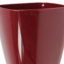 Artikel Orchideentopf glänzend Ø12,5cm Bordeaux 1 St