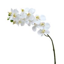 Orchideenzweig Weiß L58cm