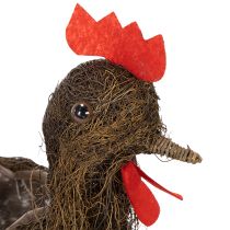 Artikel Osterdekoration Pflanzkorb Reben-Huhn 36cm Naturfarben