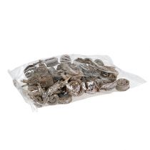 Artikel Dekorative Kringel Palm Male getrocknet weiß gewaschen 25 Stück