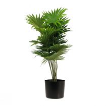 Artikel Palmen Deko Fächerpalme Kunstpflanzen Topf Grün 80cm