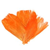 Palmfaser Pastell Hellorange 400gr