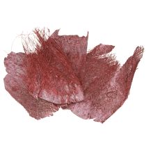 Artikel Palmfaser zum Basteln Bordeaux Weiß gewaschen 20-40cm 250g