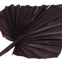 Artikel Palmspear Mix aus getrockneten Palmenblättern, Rosa und Berry, 40–55 cm, 65 Stück