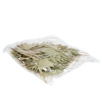 Artikel Dekorativer Palmspeer Sun mit natürlichem Look für Gedenkdekorationen 50 Stück