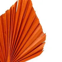 Artikel Orangene Palmspear aus echten Palmblättern, ca. 40–56 cm, 65 Stück