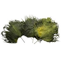 Artikel Palmwedel künstlich dekorativ für exotische Arrangements 5St 45cm