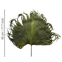 Artikel Palmwedel künstlich dekorativ für exotische Arrangements 5St 45cm