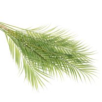 Artikel Künstlicher Palmenzweig 90cm Grün aus Kunststoff für Innenbereich