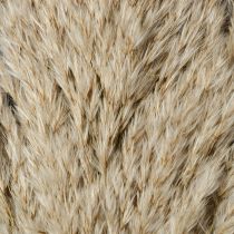 Artikel Pampasgras getrocknet Natur Braun Grau 95-98cm 3 Stück