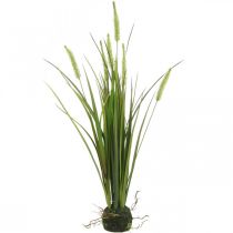 Künstliches Schilfgras mit Wurzelballen Kunstpflanze H63cm