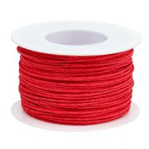 Artikel Papierkordel Draht umwickelt Ø2mm 100m Rot