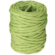 Artikel Papierkordel Grün Deko Kordel ohne Draht Breite 6mm 23m