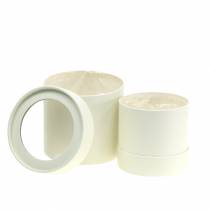 Artikel Blumenbox rund Karton Creme Ø10/12cm 2er Set