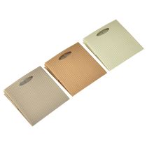 Artikel Pflanztasche aus Karton mit Kunststofffolie 12 x 12 x 12 cm Braun, Beige, Crème 6-teilig