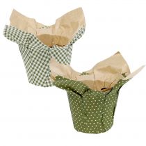 Artikel Papier Übertopf gemustert Grün-Weiß Ø11,5cm 8 St