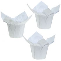 Floristik24.at Übertöpfe aus Papier Weiß Ø12cm 12St64540