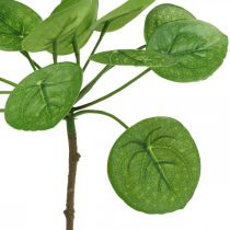 Peperomia Künstliche Grünpflanze mit Blättern 30cm