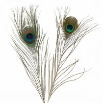 Pfauenfedern Deko Echte Federn zum Basteln Natur 24-32cm 24St