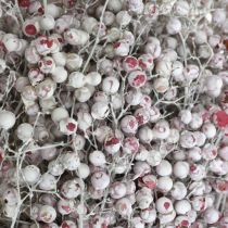 Pfefferbeere beschneit, Winterdeko, Trockenblumen, Advent, Rosa Pfeffer Weiß gewaschen 170g