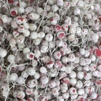 Artikel Pfefferbeere beschneit, Winterdeko, Trockenblumen, Advent, Rosa Pfeffer Weiß gewaschen 170g