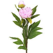 Artikel Pfingstrose Kunstblumen Rosa mit langem Stiel 70cm 3St