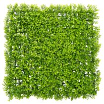 Artikel Künstliche Buchsbaum-Matte 55x55 cm aus grünem Kunststoff für dekorative Wandgestaltung