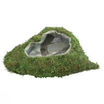 Pflanzherz Moos Grün Pflanzschale Herz 26×30×8cm