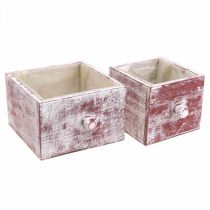 Artikel Pflanzkasten Holz Shabby Chic Set Rot-Weiß 2 Größen