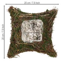 Artikel Pflanzkissen Reben Moos Pflanzschale Natur 20×20×6,5cm