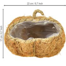 Artikel Pflanzkorb Kürbis Tamarindenfaser Orange Ø22cm H17cm Innenbereich