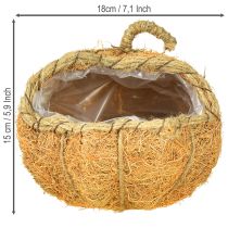Artikel Pflanzkorb Kürbis mit Folie aus Tamarindenfaser Orange Ø18cm H15cm Innen- und Außendekoration