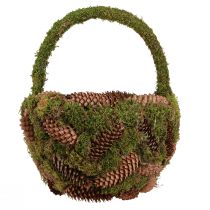 Artikel Rustikaler Pflanzkorb aus Moos und Fichtenzapfen mit Henkel Ø32cm H42cm für Wohn- und Tischdekoration