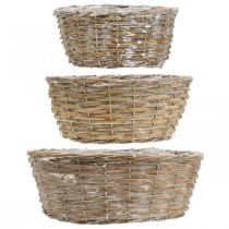 Artikel 3er Set Weidenkörbe mit Kunststofffolieneinsatz Weiß Gewaschen Ø21,5/26/31cm für Heim und Dekoration