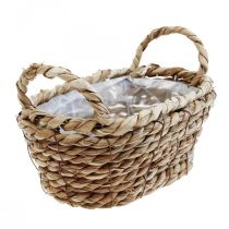 Pflanzkorb Seegras Korb mit Henkeln oval Deko 23×13×9cm