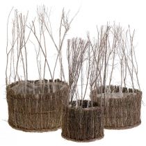 Pflanzkorb Korb aus Zweigen Weiß gewaschen Ø15-25cm 3er-Set