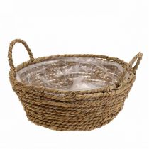 Pflanzkorb rund Seegras Korb mit Henkeln Dekokorb Ø25cm H9cm