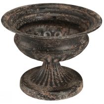 Artikel Pflanzpokal Kelch Antik-Look Schwarz Braun Ø20cm H15cm