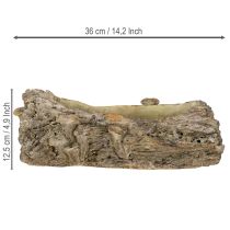 Artikel Pflanzschale Steinguss Baumstamm mit Pilzen 36×18×12,5 cm