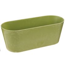 Artikel Pflanzschale oval Grün Schale Kunststoff 27×11×10cm 3St