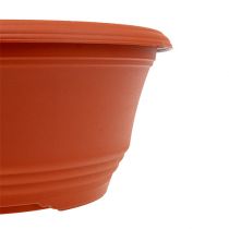 Artikel Pflanzschale aus Plastik Ø20cm Terrakotta 1St