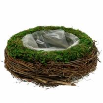 Pflanzschale Rattan, Moos Ø26cm H9cm