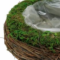 Pflanzschale Rattan, Moos Ø26cm H9cm