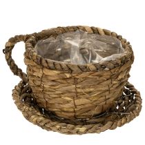 Artikel Pflanztasse aus Stroh mit Unterteller 17cm x 13cm für Dekoration und Kräuter