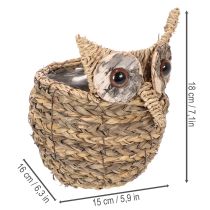 Artikel Korbdeko Eule handgeflochten aus Wasserhyazinthe 18cm für Fensterbank