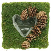 Pflanzkissen Herz Moos und Zapfen Quadratisch 25×25cm
