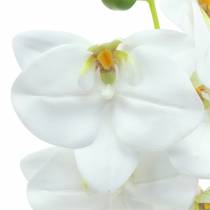 Künstlicher Orchideenzweig Phaelaenopsis Weiß H49cm